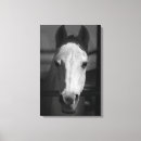Search for jumping canvas prints Equestrian
