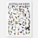 Search for feathered birds magnets Avian