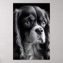 Search for cavalier posters Animal