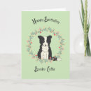 Search for border collie birthday cards Pet