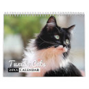 Search for tux photography Tuxedo cat