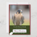Search for peregrine cards Raptor