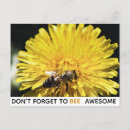 Search for dandelion postcards Yellow dandelion flower