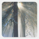 Search for large format stickers Outdoor