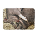 Search for cute pig bath mats Hog
