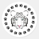 Search for bengal cat stickers Tiger