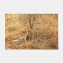 Search for lion doormats Wildlife