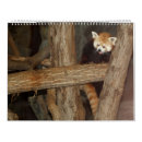 Search for monkey calendars Zebra