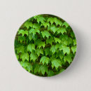 Search for ivy badges Leaf