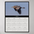 Search for great blue heron calendars Wildlife