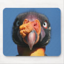Search for bird mousepads Funny