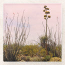 Search for mexico coasters Desert
