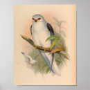 Search for kite art Vintage