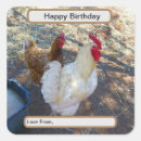 Search for white hen stickers Chicken