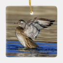 Search for wood duck christmas tree decorations Wildlife