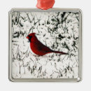 Search for love birds christmas tree decorations Snow