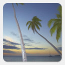 Search for fiji island stickers Coast