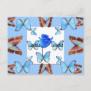 Search for rose blue postcards Photography