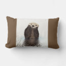 Search for marsh cushions Water