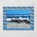 Search for seabird postcards Seagull