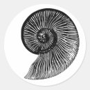 Search for prehistoric stickers Ammonite