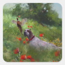 Search for pheasant hunting stickers Nature
