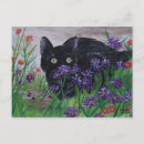 Search for peek a postcards Pets