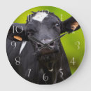 Search for holstein White