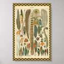 Search for plumed posters Feathers