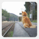 Search for dog training stickers Animal