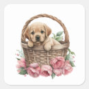 Search for labrador retriever puppy stickers Dog