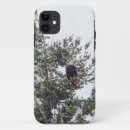 Search for bald eagle electronics Tree