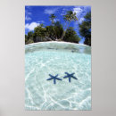 Search for remote art Sea