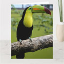 Search for big bird birthday cards Tropical
