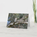 Search for kookaburra cards Australian