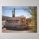 Search for saguaro art Sonoran desert