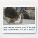 Search for maine coon cat mousepads Cats