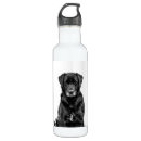 Search for black labrador water bottles Dog