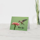Search for hummingbird cards Nature