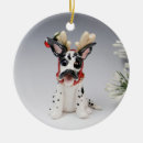 Search for harlequin christmas tree decorations Dog