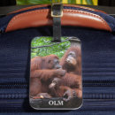 Search for orangutans accessories Animals