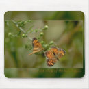 Search for wings mousepads Scripture