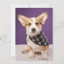 Search for corgi thank you cards Cute