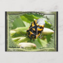Search for stinks postcards Nature