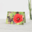 Search for flanders Remembrance