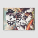 Search for dalmatian tissue paper Puppy