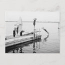Search for diving postcards Dive
