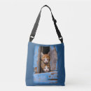 Search for windows bags Funny