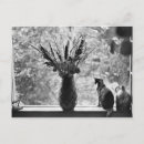 Search for romantic cat postcards Animal