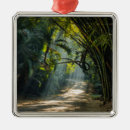 Search for bamboo christmas tree decorations Forest